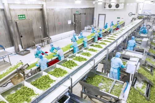 Công nghệ chế biến, đóng gói và bảo quản tạo đòn bẩy nâng tầm nông sản Việt