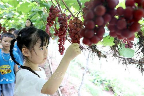 Đánh thức giá trị mới của nông nghiệp trước biến đổi khí hậu