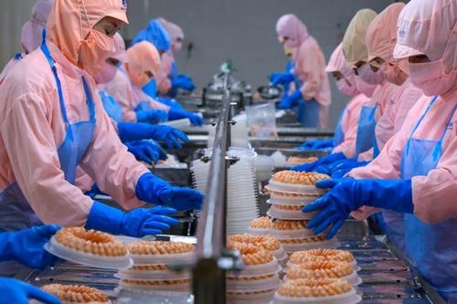 Giá tôm chạm đáy, 'vua tôm' Minh Phú vẫn tự tin tăng trưởng kỷ lục