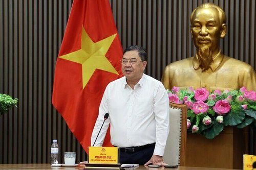 Phó Thủ tướng Thường trực: Không để lợi dụng nhập ô tô làm quà biếu, quà tặng để trục lợi chính sách