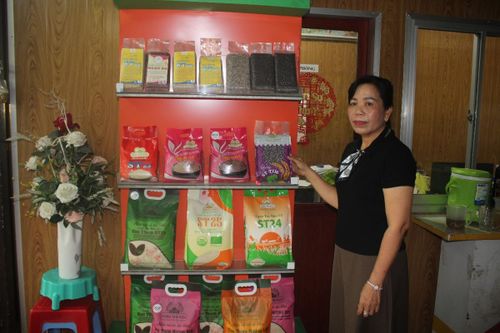 Hành trình xây dựng thành công chuỗi lúa gạo hữu cơ của một nữ doanh nhân ở tỉnh Vĩnh Long
