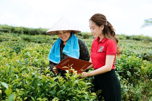 Lỗ hổng dữ liệu cản trở tín dụng xanh