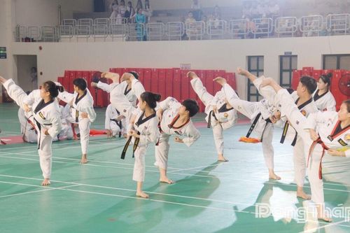 Khẳng định vị thế phong trào võ thuật tỉnh nhà