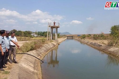 Điểm tin trưa: Gia Lai dự kiến đầu tư 810 tỷ đồng cho 3 dự án thủy lợi cấp bách