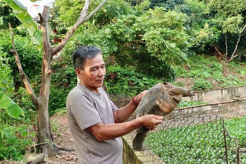 Ông Bắt làm giàu trên đất quê