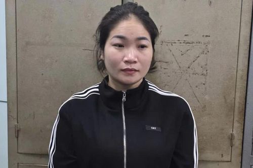 Phú Thọ: Khởi tố đối tượng lừa làm thủ tục đất đai, chiếm đoạt hơn 4 tỷ đồng