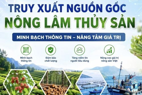 18.000 sản phẩm sẵn sàng tham gia hệ thống truy xuất nguồn gốc
