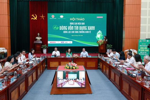 Tín dụng xanh: 'Tiền tỷ' sẵn sàng nhưng doanh nghiệp vẫn 'đứng ngoài cuộc chơi'?