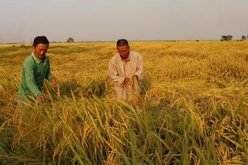 Dấu ấn ông Sáu Dân trên vùng đất Chín Rồng: Kỳ cuối: Kỳ tích trên vùng đất khó