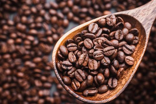 Giá cà phê hôm nay 23/6/2026: Robusta xuống thấp nhất 1 tuần