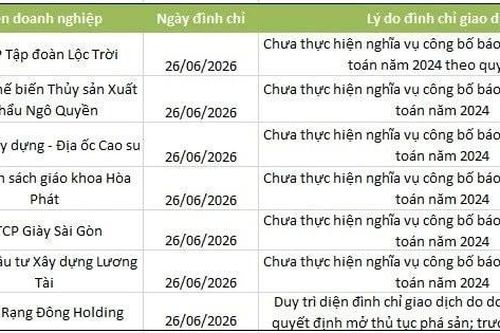 Cổ phiếu Lộc Trời, Rạng Đông Holding cùng loạt mã trên HNX bị đình chỉ giao dịch