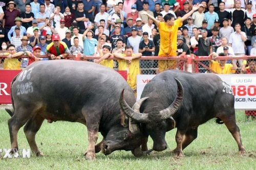 Đồ Sơn làm mới các sản phẩm du lịch để thu hút khách quốc tế
