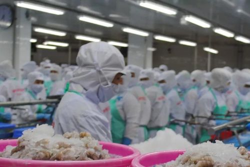 Cà Mau đột phá nhiều lĩnh vực mới để đạt mục tiêu tăng trưởng