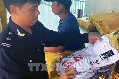 Hải quan hướng dẫn giám định hàng hóa có dấu hiệu vi phạm sở hữu trí tuệ