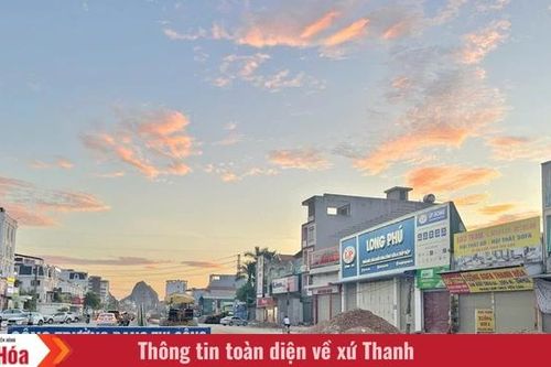 'Xin lỗi chúng tôi đã làm phiền bạn!'