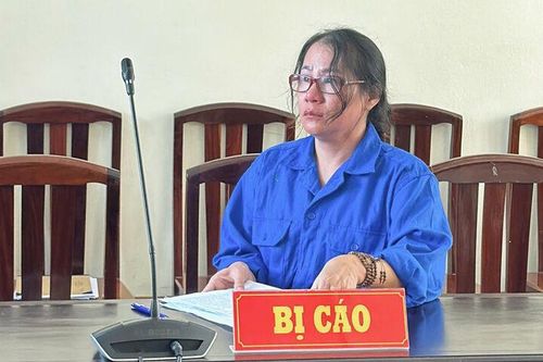 Lĩnh án 24 năm tù vì lừa đảo 'chạy' ranh đất rừng