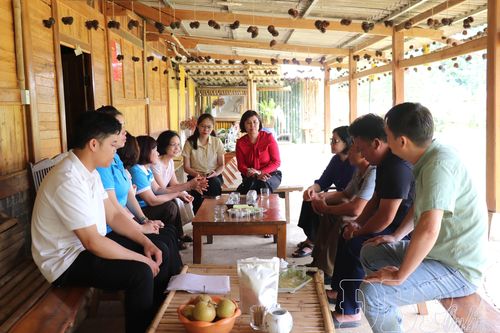 Tham quan mô hình tiêu biểu Dự án nâng cao năng lực và ứng dụng công nghệ số cho nhóm thu nhập thấp