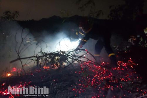 Tăng cường công tác phòng cháy, chữa cháy rừng trước nguy cơ nắng nóng kéo dài