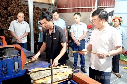 Kinh tế tập thể động lực nâng tầm nông nghiệp