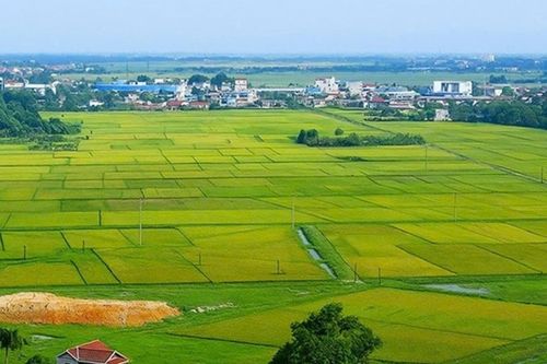 Hà Nội dồn lực hoàn thành toàn bộ dữ liệu đất đai trước ngày 30/8
