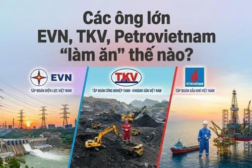 Nửa đầu năm, các ông lớn EVN, TKV, Petrovietnam 'làm ăn' thế nào?