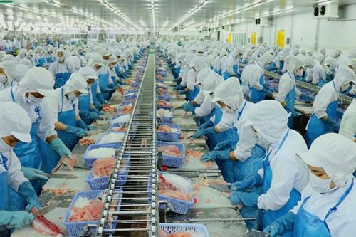 Nghị định mới cho thủy sản - bước tái định vị ngành xuất khẩu tỷ USD