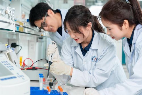 Một trường đại học Việt Nam bứt phá trong xếp hạng phát triển bền vững
