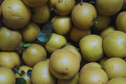 Loại quả 'tốt nhất thế giới' xưa mọc dại giờ là đặc sản, vào mùa bán đầy chợ Việt giá 'rẻ như cho', trồng một lần thu hoạch cả đời