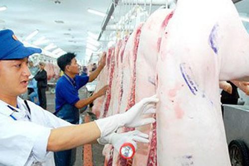 Văn bản hợp nhất 67/VBHN-BNNMT Quy định về kiểm dịch động vật, sản phẩm động vật trên cạn