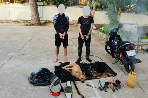 Cẩu tặc thúc thủ