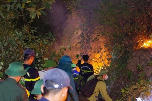 500 người xuyên đêm vật lộn với lửa rừng cháy ngùn ngụt