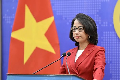 Việt Nam lên tiếng về vụ kiện chất độc da cam của bà Trần Tố Nga tại Pháp