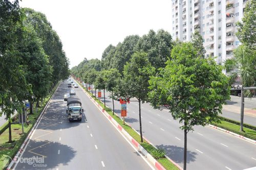 Giữ mảng xanh cho trung tâm thành phố
