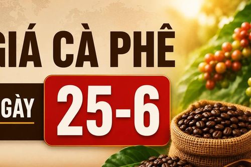 Giá cà phê ngày 25-6: Đảo chiều tăng, cao nhất 88.700 đồng/kg
