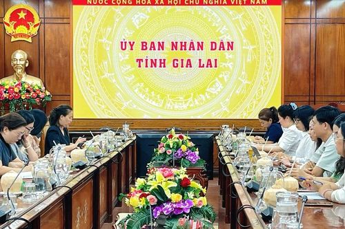 Gia Lai sẽ phối hợp hỗ trợ phụ nữ mang thai có hoàn cảnh khó khăn
