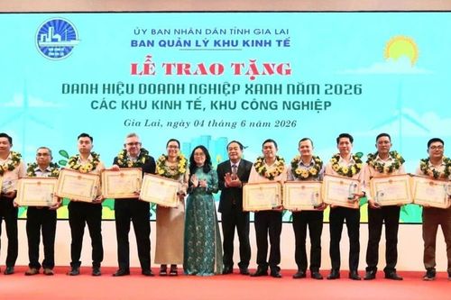 Gia Lai có 74 cơ sở đạt danh hiệu 'Doanh nghiệp xanh' năm 2026