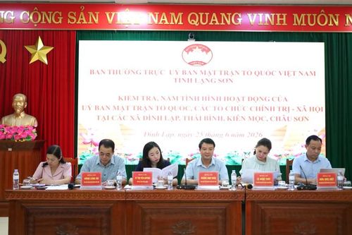 Kiểm tra hoạt động của Ủy ban Mặt trận Tổ quốc và các tổ chức chính trị - xã hội tại các xã