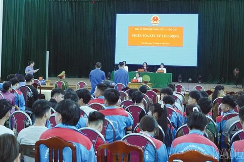 Tòa án nhân dân khu vực 1 - Lào Cai xét xử lưu động 03 vụ án hình sự liên quan đến ma túy