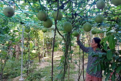 Cùng giúp nhau phát triển kinh tế