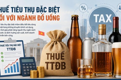 Thuế tiêu thụ đặc biệt mới: Phép thử năng lực thích ứng của doanh nghiệp dẫn đầu ngành bia