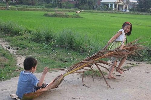 Mo cau rụng xuống vườn nhà