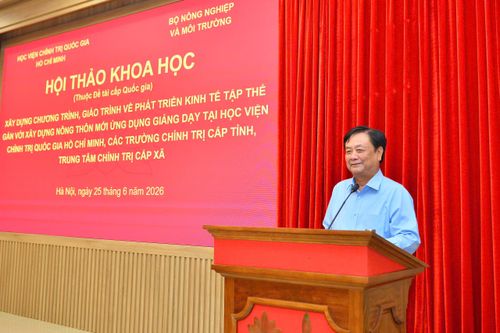 Gieo hạt hợp tác từ những cánh đồng manh mún