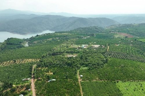 Giữ rừng từ những thay đổi trong sinh kế của người dân