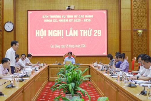 Hội nghị lần thứ 29 Ban Thường vụ Tỉnh ủy khóa XX