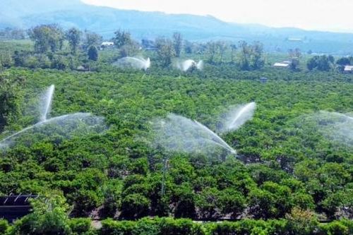 Nông nghiệp Đăk Hà: Khát vọng vươn tầm từ sự hợp nhất và chuyển đổi bền vững