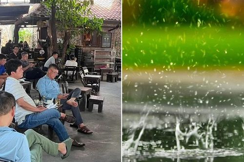 Hàng quán mở tiếng mưa, tiếng chim thay nhạc: Có phải lo chuyện bản quyền?