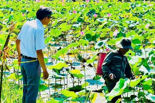 Chuyển đổi mô hình sản xuất, nâng cao hiệu quả sử dụng đất nông nghiệp