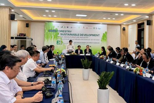 Nâng sức cạnh tranh ngành gỗ từ nguồn nguyên liệu