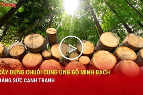Xây dựng chuỗi cung ứng gỗ minh bạch, nâng sức cạnh tranh