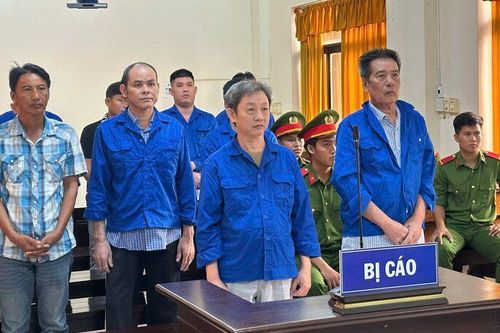 Lừa đảo chiếm đoạt tiền thu mua lúa, 11 bị cáo lãnh án